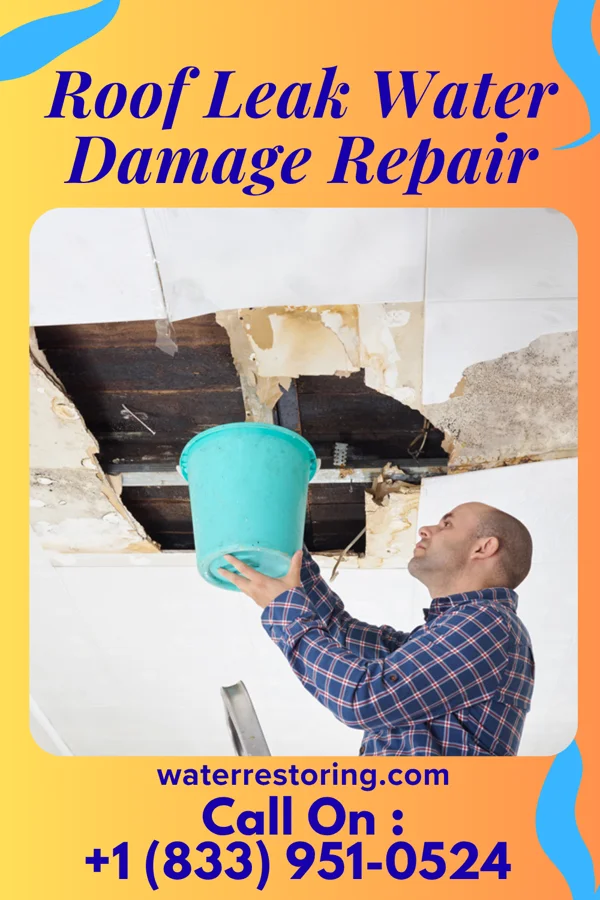 Roof Leak Water Damage Repair in Carter Springs, NV